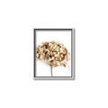 Picture of Dried Hydrangea _GroupedProduct_Rectangle_Portrait_Photography _GroupedProduct_Rectangle_Portrait_Canvas_Framed_