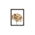 Picture of Dried Hydrangea _GroupedProduct_Rectangle_Portrait_Photography _GroupedProduct_Rectangle_Portrait_Canvas_Framed_