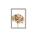 Picture of Dried Hydrangea _GroupedProduct_Rectangle_Portrait_Photography _GroupedProduct_Rectangle_Portrait_Canvas_Framed_