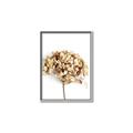 Picture of Dried Hydrangea _GroupedProduct_Rectangle_Portrait_Photography _GroupedProduct_Rectangle_Portrait_Canvas_Framed_