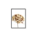 Picture of Dried Hydrangea _GroupedProduct_Rectangle_Portrait_Photography _GroupedProduct_Rectangle_Portrait_Canvas_Framed_
