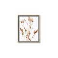 Picture of Dried Lilies  _GroupedProduct_Rectangle_Portrait_Photography _GroupedProduct_Rectangle_Portrait_Canvas_Framed_