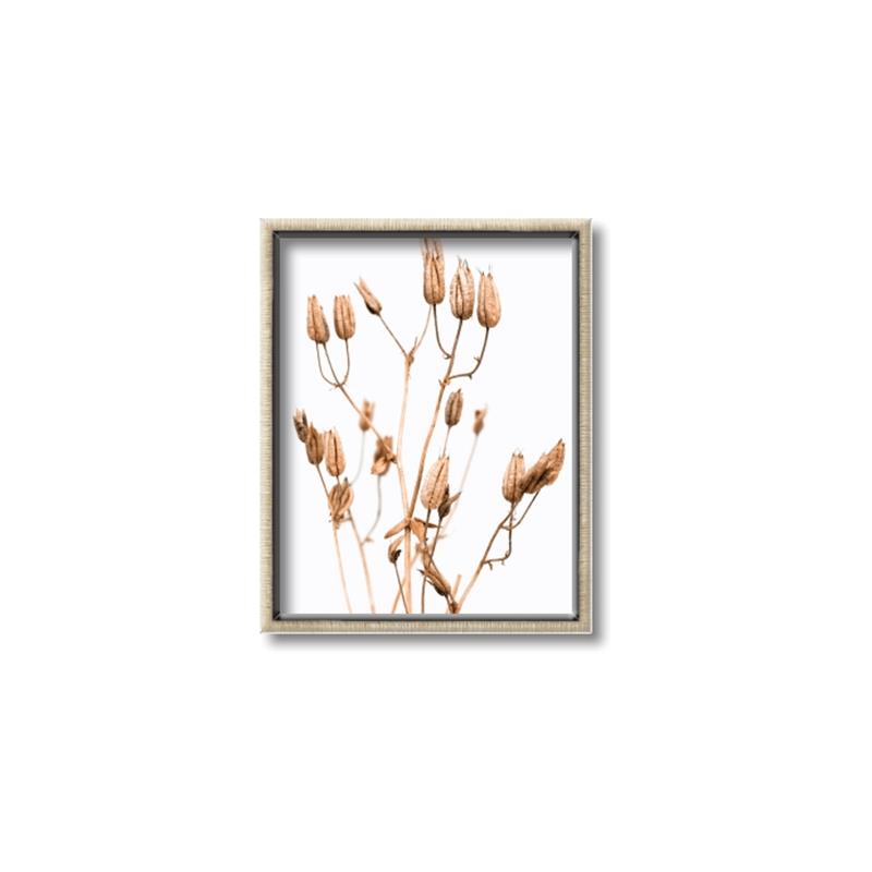 Picture of Dried Lilies  _GroupedProduct_Rectangle_Portrait_Photography _GroupedProduct_Rectangle_Portrait_Canvas_Framed_