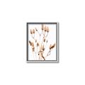 Picture of Dried Lilies  _GroupedProduct_Rectangle_Portrait_Photography _GroupedProduct_Rectangle_Portrait_Canvas_Framed_