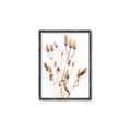 Picture of Dried Lilies  _GroupedProduct_Rectangle_Portrait_Photography _GroupedProduct_Rectangle_Portrait_Canvas_Framed_