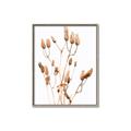 Picture of Dried Lilies  _GroupedProduct_Rectangle_Portrait_Photography _GroupedProduct_Rectangle_Portrait_Canvas_Framed_