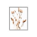 Picture of Dried Lilies  _GroupedProduct_Rectangle_Portrait_Photography _GroupedProduct_Rectangle_Portrait_Canvas_Framed_
