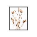 Picture of Dried Lilies  _GroupedProduct_Rectangle_Portrait_Photography _GroupedProduct_Rectangle_Portrait_Canvas_Framed_