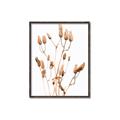 Picture of Dried Lilies  _GroupedProduct_Rectangle_Portrait_Photography _GroupedProduct_Rectangle_Portrait_Canvas_Framed_