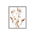 Picture of Dried Lilies  _GroupedProduct_Rectangle_Portrait_Photography _GroupedProduct_Rectangle_Portrait_Canvas_Framed_