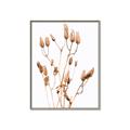 Picture of Dried Lilies  _GroupedProduct_Rectangle_Portrait_Photography _GroupedProduct_Rectangle_Portrait_Canvas_Framed_