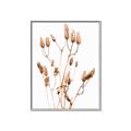 Picture of Dried Lilies  _GroupedProduct_Rectangle_Portrait_Photography _GroupedProduct_Rectangle_Portrait_Canvas_Framed_