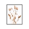 Picture of Dried Lilies  _GroupedProduct_Rectangle_Portrait_Photography _GroupedProduct_Rectangle_Portrait_Canvas_Framed_