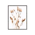 Picture of Dried Lilies  _GroupedProduct_Rectangle_Portrait_Photography _GroupedProduct_Rectangle_Portrait_Canvas_Framed_
