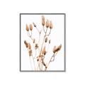 Picture of Dried Lilies  _GroupedProduct_Rectangle_Portrait_Photography _GroupedProduct_Rectangle_Portrait_Canvas_Framed_