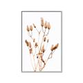 Picture of Dried Lilies  _GroupedProduct_Rectangle_Portrait_Photography _GroupedProduct_Rectangle_Portrait_Canvas_Framed_