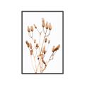 Picture of Dried Lilies  _GroupedProduct_Rectangle_Portrait_Photography _GroupedProduct_Rectangle_Portrait_Canvas_Framed_