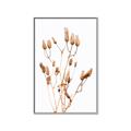 Picture of Dried Lilies  _GroupedProduct_Rectangle_Portrait_Photography _GroupedProduct_Rectangle_Portrait_Canvas_Framed_