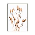 Picture of Dried Lilies  _GroupedProduct_Rectangle_Portrait_Photography _GroupedProduct_Rectangle_Portrait_Canvas_Framed_