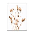 Picture of Dried Lilies  _GroupedProduct_Rectangle_Portrait_Photography _GroupedProduct_Rectangle_Portrait_Canvas_Framed_