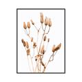 Picture of Dried Lilies  _GroupedProduct_Rectangle_Portrait_Photography _GroupedProduct_Rectangle_Portrait_Canvas_Framed_