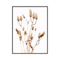 Picture of Dried Lilies  _GroupedProduct_Rectangle_Portrait_Photography _GroupedProduct_Rectangle_Portrait_Canvas_Framed_