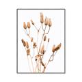 Picture of Dried Lilies  _GroupedProduct_Rectangle_Portrait_Photography _GroupedProduct_Rectangle_Portrait_Canvas_Framed_