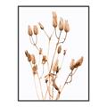 Picture of Dried Lilies  _GroupedProduct_Rectangle_Portrait_Photography _GroupedProduct_Rectangle_Portrait_Canvas_Framed_