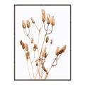 Picture of Dried Lilies  _GroupedProduct_Rectangle_Portrait_Photography _GroupedProduct_Rectangle_Portrait_Canvas_Framed_