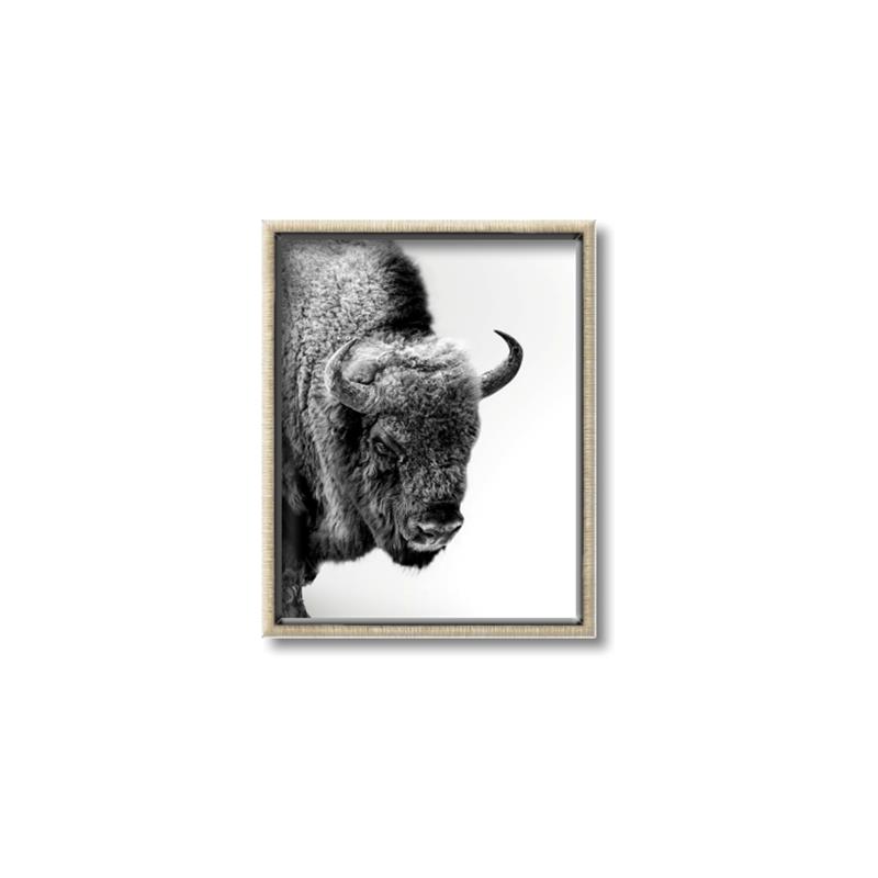 Picture of Buffalo Bill _GroupedProduct_Rectangle_Portrait_Photography _GroupedProduct_Rectangle_Portrait_Canvas_Framed_
