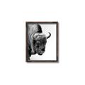Picture of Buffalo Bill _GroupedProduct_Rectangle_Portrait_Photography _GroupedProduct_Rectangle_Portrait_Canvas_Framed_