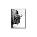 Picture of Buffalo Bill _GroupedProduct_Rectangle_Portrait_Photography _GroupedProduct_Rectangle_Portrait_Canvas_Framed_