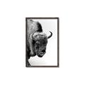 Picture of Buffalo Bill _GroupedProduct_Rectangle_Portrait_Photography _GroupedProduct_Rectangle_Portrait_Canvas_Framed_