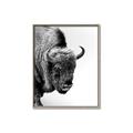 Picture of Buffalo Bill _GroupedProduct_Rectangle_Portrait_Photography _GroupedProduct_Rectangle_Portrait_Canvas_Framed_