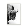 Picture of Buffalo Bill _GroupedProduct_Rectangle_Portrait_Photography _GroupedProduct_Rectangle_Portrait_Canvas_Framed_