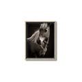 Picture of Ebony, the Horse _GroupedProduct_Rectangle_Portrait_Photography _GroupedProduct_Rectangle_Portrait_Canvas_Framed_