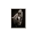 Picture of Ebony, the Horse _GroupedProduct_Rectangle_Portrait_Photography _GroupedProduct_Rectangle_Portrait_Canvas_Framed_