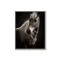 Picture of Ebony, the Horse _GroupedProduct_Rectangle_Portrait_Photography _GroupedProduct_Rectangle_Portrait_Canvas_Framed_