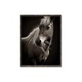 Picture of Ebony, the Horse _GroupedProduct_Rectangle_Portrait_Photography _GroupedProduct_Rectangle_Portrait_Canvas_Framed_