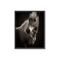 Picture of Ebony, the Horse _GroupedProduct_Rectangle_Portrait_Photography _GroupedProduct_Rectangle_Portrait_Canvas_Framed_
