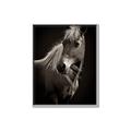 Picture of Ebony, the Horse _GroupedProduct_Rectangle_Portrait_Photography _GroupedProduct_Rectangle_Portrait_Canvas_Framed_