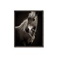 Picture of Ebony, the Horse _GroupedProduct_Rectangle_Portrait_Photography _GroupedProduct_Rectangle_Portrait_Canvas_Framed_