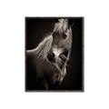 Picture of Ebony, the Horse _GroupedProduct_Rectangle_Portrait_Photography _GroupedProduct_Rectangle_Portrait_Canvas_Framed_