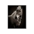 Picture of Ebony, the Horse _GroupedProduct_Rectangle_Portrait_Photography _GroupedProduct_Rectangle_Portrait_Canvas_Framed_