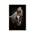 Picture of Ebony, the Horse _GroupedProduct_Rectangle_Portrait_Photography _GroupedProduct_Rectangle_Portrait_Canvas_Framed_