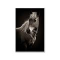 Picture of Ebony, the Horse _GroupedProduct_Rectangle_Portrait_Photography _GroupedProduct_Rectangle_Portrait_Canvas_Framed_