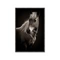 Picture of Ebony, the Horse _GroupedProduct_Rectangle_Portrait_Photography _GroupedProduct_Rectangle_Portrait_Canvas_Framed_