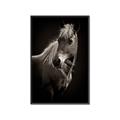 Picture of Ebony, the Horse _GroupedProduct_Rectangle_Portrait_Photography _GroupedProduct_Rectangle_Portrait_Canvas_Framed_