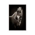 Picture of Ebony, the Horse _GroupedProduct_Rectangle_Portrait_Photography _GroupedProduct_Rectangle_Portrait_Canvas_Framed_