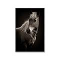 Picture of Ebony, the Horse _GroupedProduct_Rectangle_Portrait_Photography _GroupedProduct_Rectangle_Portrait_Canvas_Framed_